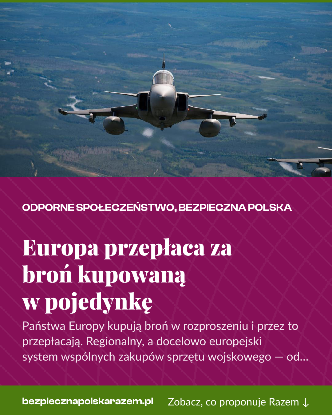 Grafika pionowa do udostępnienia: Europa przepłaca za broń kupowaną w pojedynkę
